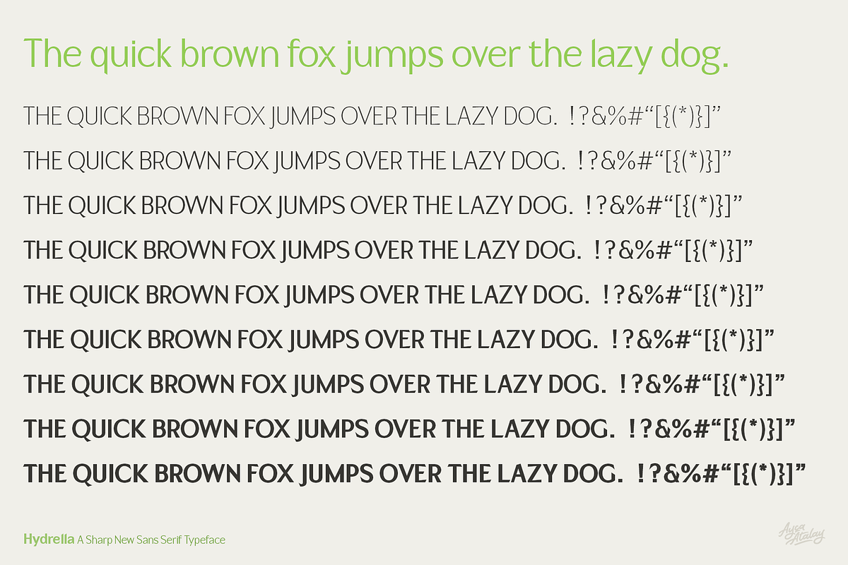 Hydrella | A Sharp New Sans, a Sans Serif Font by Ayca Atalay (Photo 9 of 10)