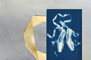 Thread of Memory:Feminine Collection, an Object Graphic by Natali Batu (Thumbnail 8 of 10)