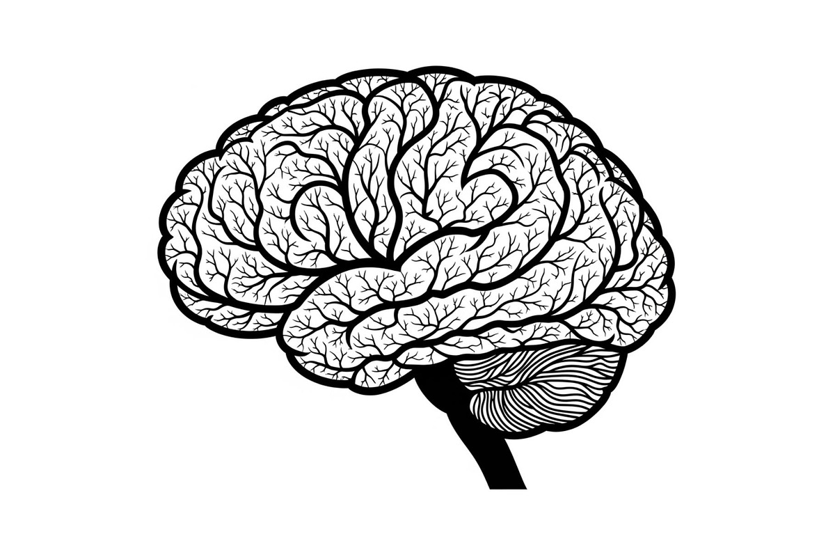Brain Tree Knowledge Design Bundle, an Illustration by Gaye Art (Photo 30 of 31)