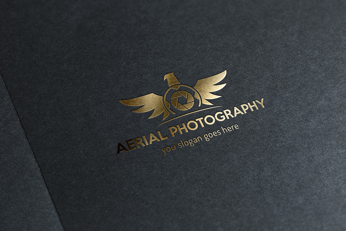 Aerial Photography Logo, a Branding & Logo Template by GladicMonster (Photo 6 of 8)