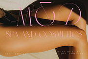 Veilan Serif Delicate font, a Serif Font by Andfonts (Thumbnail 6 of 13)
