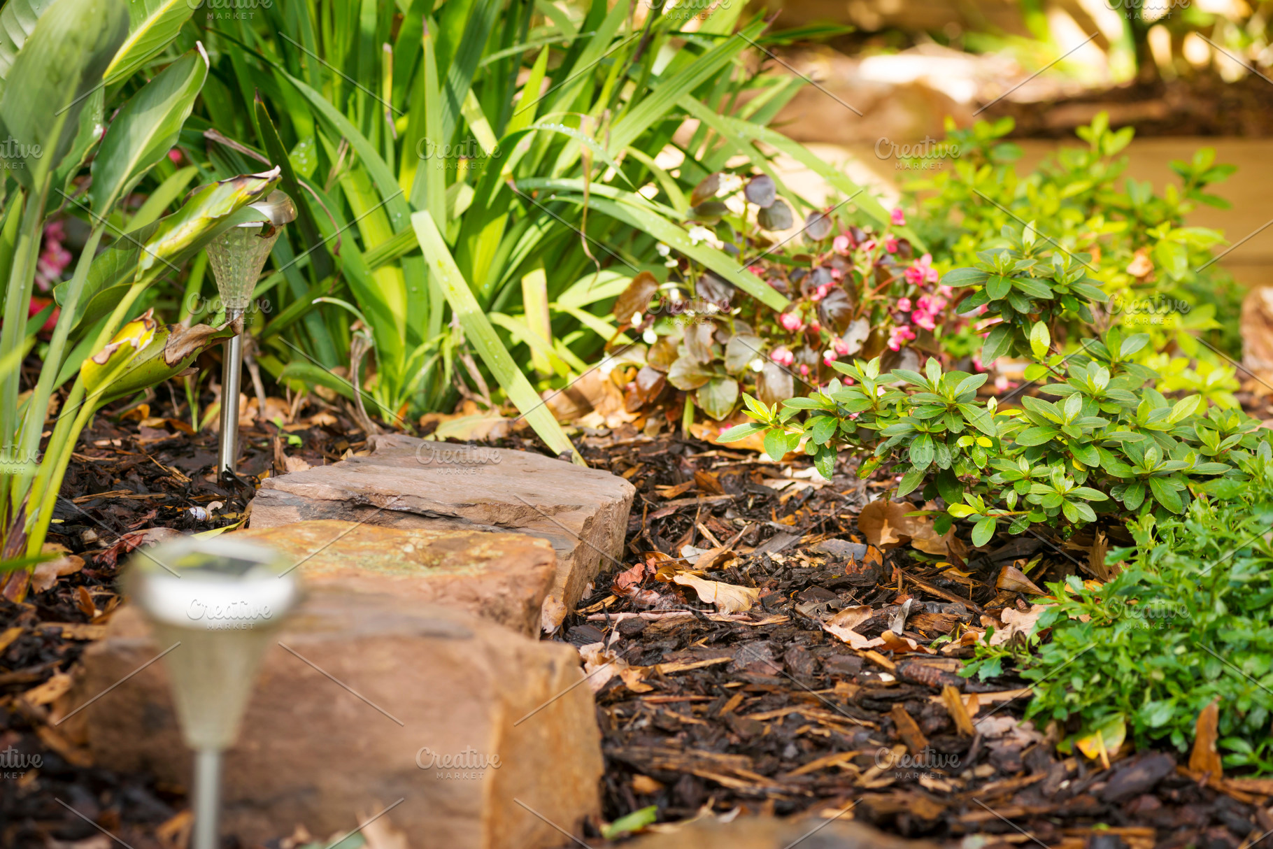 Landscaping, a Nature Photo by THP Creative