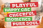 Calico - Bold Playful Serif Font, a Serif Font by Font Liner (Thumbnail 3 of 10)