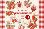 Vintage Fruit & Berry Bundle PNG SVG, a Food Illustration by Marie T (Thumbnail 7 of 17)