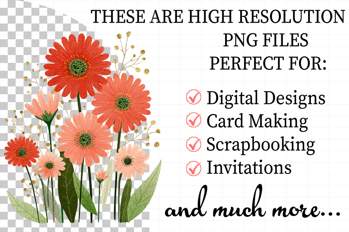Gerbera Daisy Red & White Clipart, an Illustration by Daily.Designs (Photo 2 of 5)