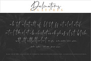 Dalmatins // Elegant Signature Font, a Script Font by Sronstudio (Thumbnail 14 of 14)