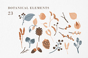 FOREST TREASURES big vector bundle, a Decorative Illustration by Lena Nikolaeva (Thumbnail 5 of 16)