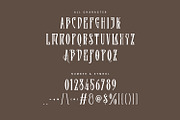 Rose Alone Serif Condensed Display, a Serif Font by Maulana Creative (Thumbnail 5 of 7)