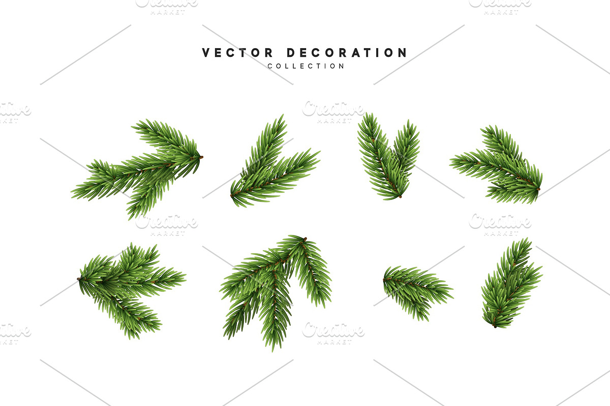 pine fir branches., an Object Graphic by Modern vector