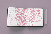 50 Peony Flower Vector Illustrations, an Illustration by Inkwell Supply Co (Thumbnail 15 of 20)