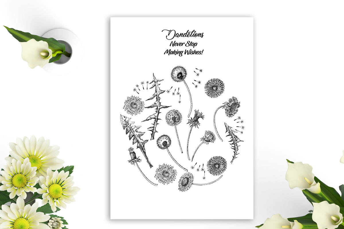 Dandelions  Sketches Clipart, a Decorative Illustration by Nataliapiache (Photo 4 of 5)