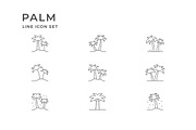 Set line icons of palm, an Outline Icon by motorama (Thumbnail 2 of 2)
