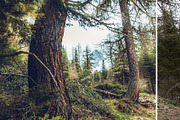 MILLION OF GREEN-Set of 20presets Lr, an Action Add-On by Graphics, Presets, Photos (Thumbnail 20 of 21)