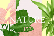 Nature Graphics Collection #03, an Object Graphic by ARKS ACADEMY (Thumbnail 1 of 13)