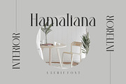 Hegelia, a Serif Font by Kenrichi (Thumbnail 9 of 10)