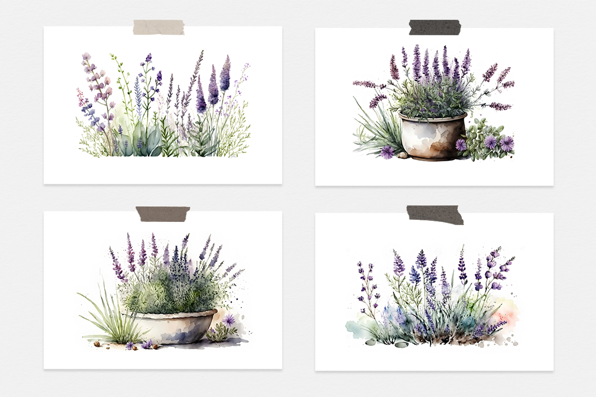 Lavender Watercolor Collection, a Seasonal Illustration by artsy-fartsy (Photo 2 of 12)