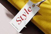 Classical Premiera, a Serif Font by Zafiratype (Thumbnail 3 of 16)
