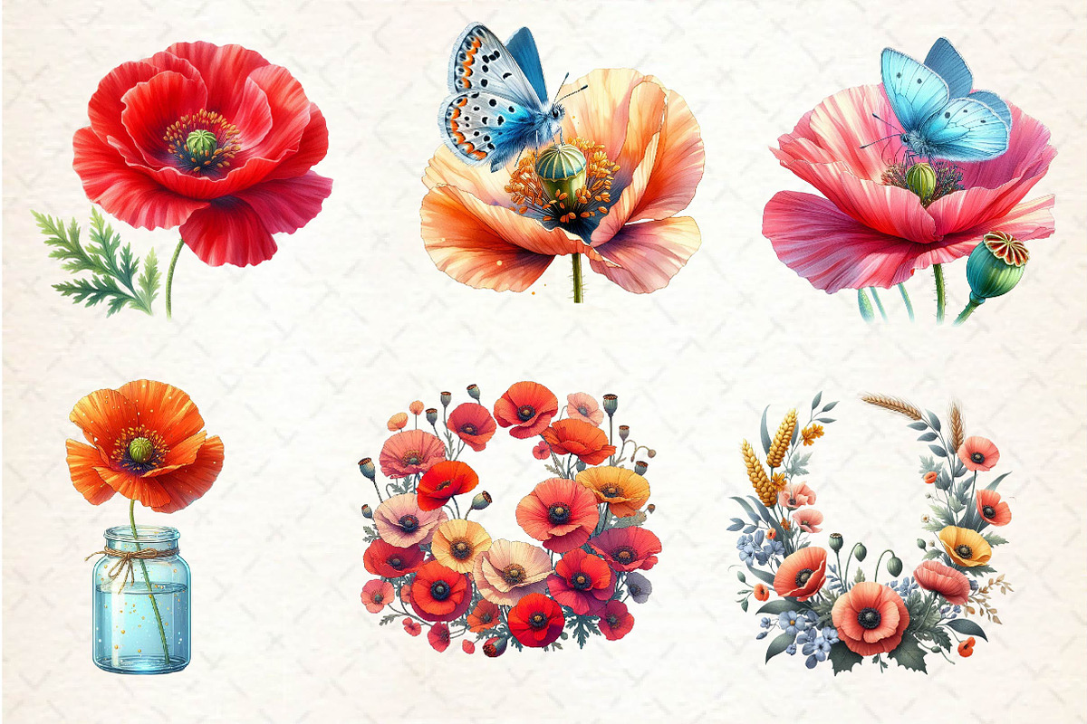 Corn Poppy Flower Bloom Clipart, an Illustration by Dream Creation (Photo 4 of 6)