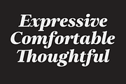 Elgraine – 18 Fonts, a Serif Font by Nasir Udin (Thumbnail 2 of 14)