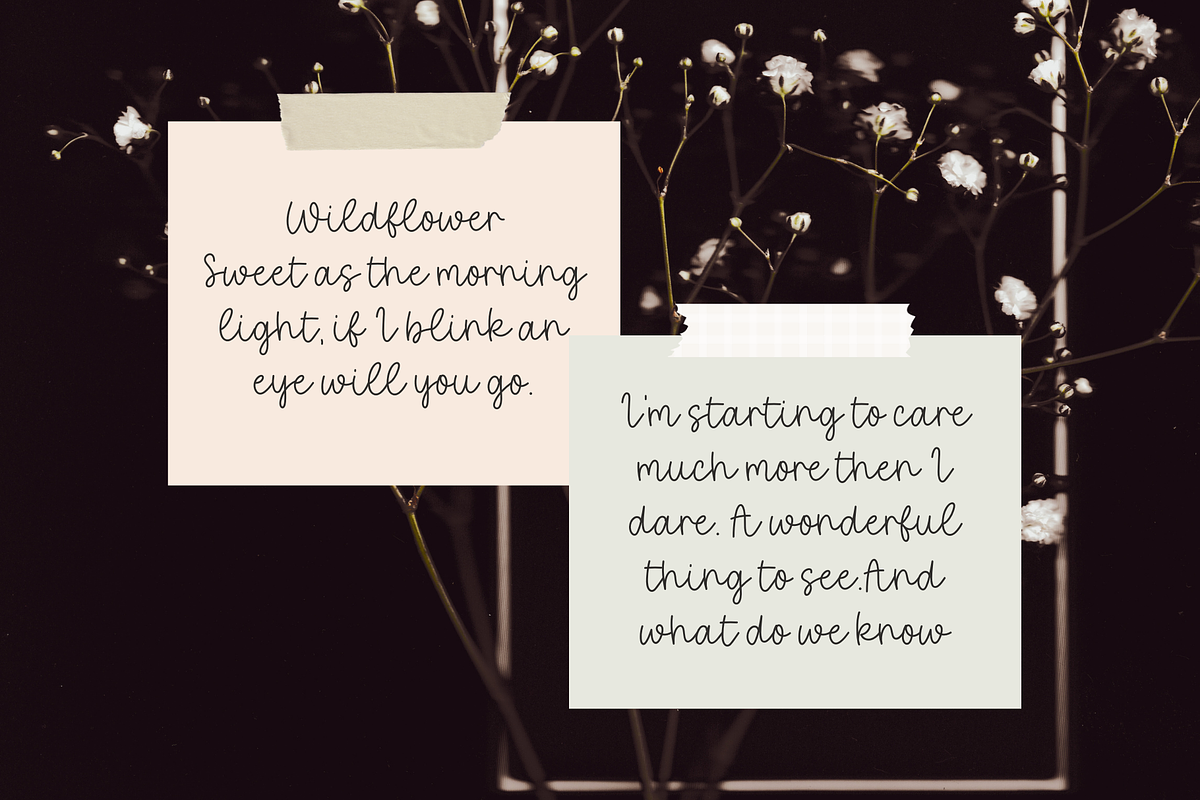 Wildflower Script Font, a Script Font by Sofia Skoog (Photo 11 of 11)