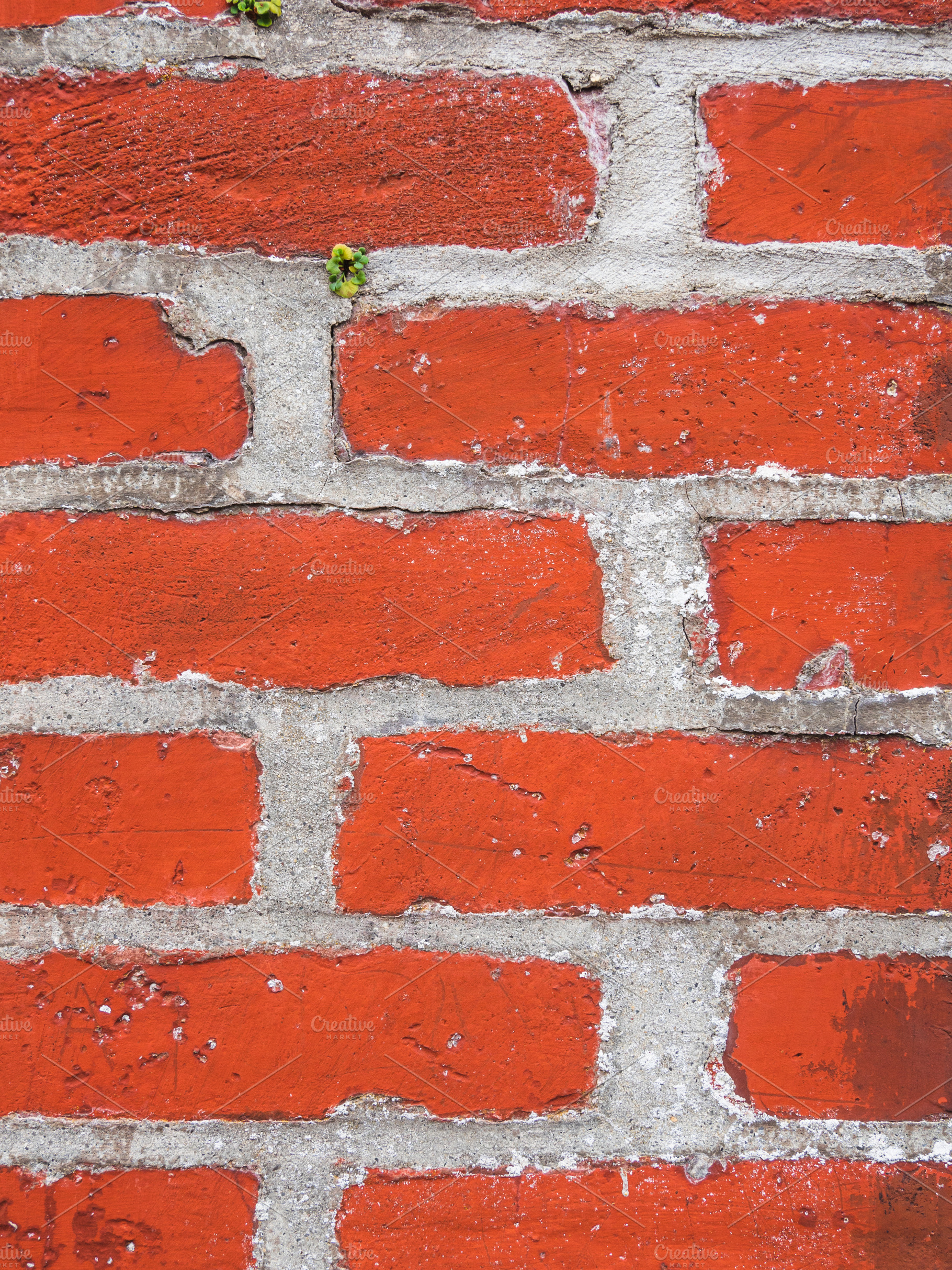 Background, a Background Photo by Pabkov