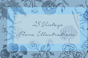 25 Vintage Flora Illustrations