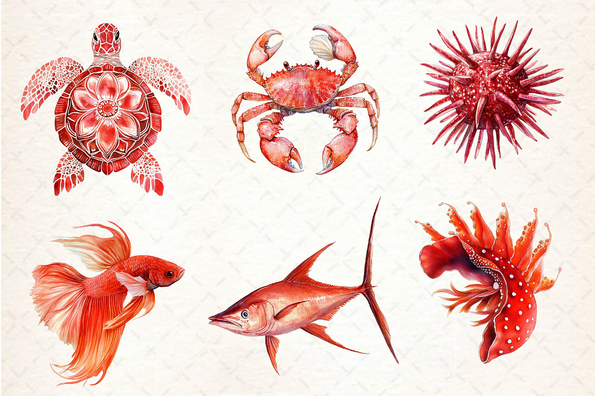 Red Ocean Animals Clipart, an Illustration by Dream Creation (Photo 2 of 6)