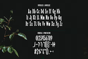 Haidrus, a Serif Font by lelevien (Thumbnail 3 of 5)