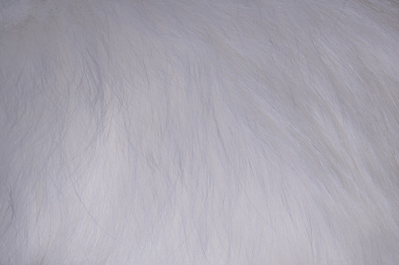 White fur texture full background stock photo containing texture and fur, an Abstract Photo by Igor Sch Photo