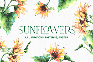 Watercolor summer Sunflowers