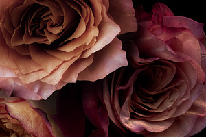 Adore Realistic Romantic Roses