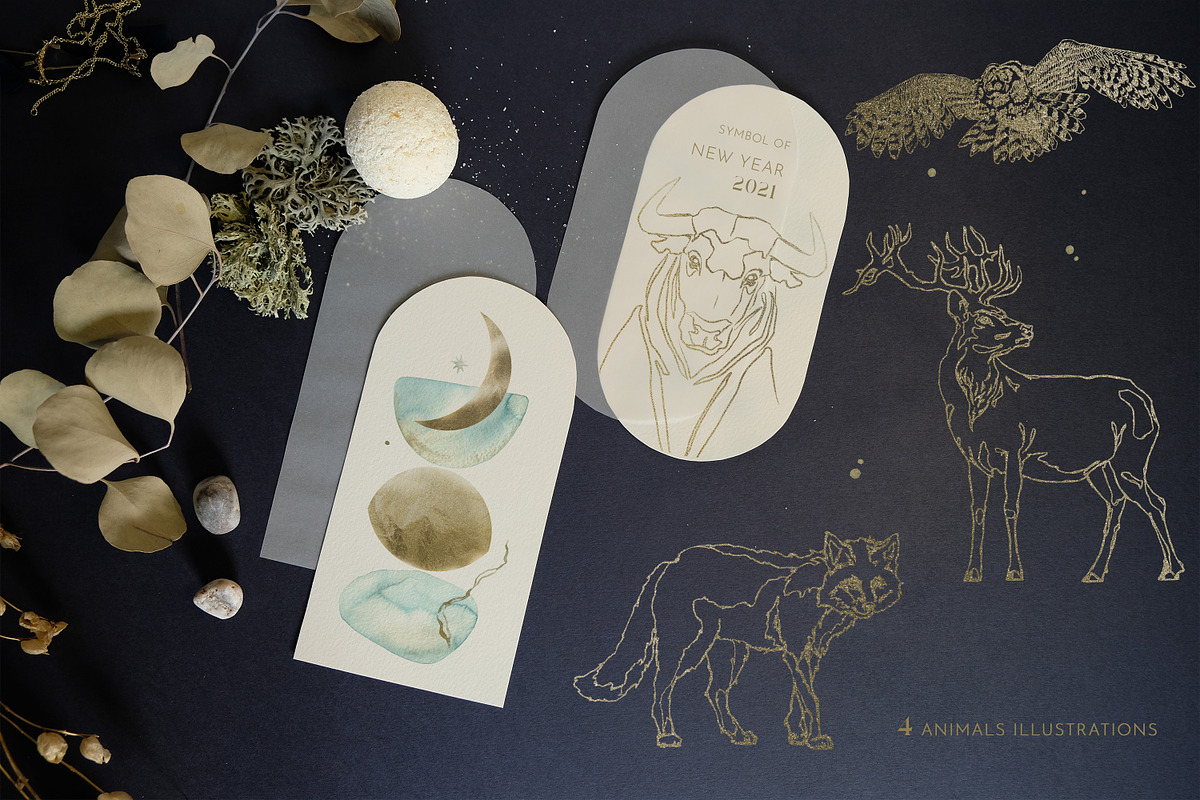 Frosty Forest Winter Collection, an Animal Illustration by Cat In Colour (Photo 2 of 10)