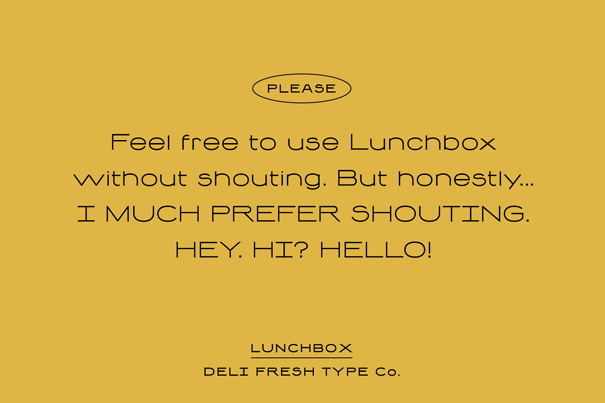 Lunchbox: A Simple Retro Font, a Sans Serif Font by DeliFreshTypeCo. (Photo 5 of 8)
