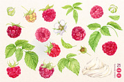Garden Raspberry. Watercolor set, an Illustration by Tata Pilip (Thumbnail 3 of 10)