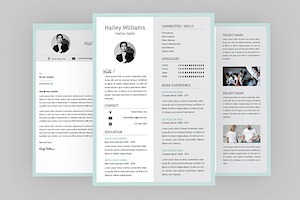 Plush Resume Designer