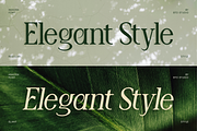 Ankora, a Serif Font by Burntilldead (Thumbnail 6 of 13)