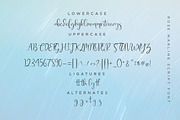 Rose Marline, a Script Font by Say Studio (Thumbnail 13 of 14)