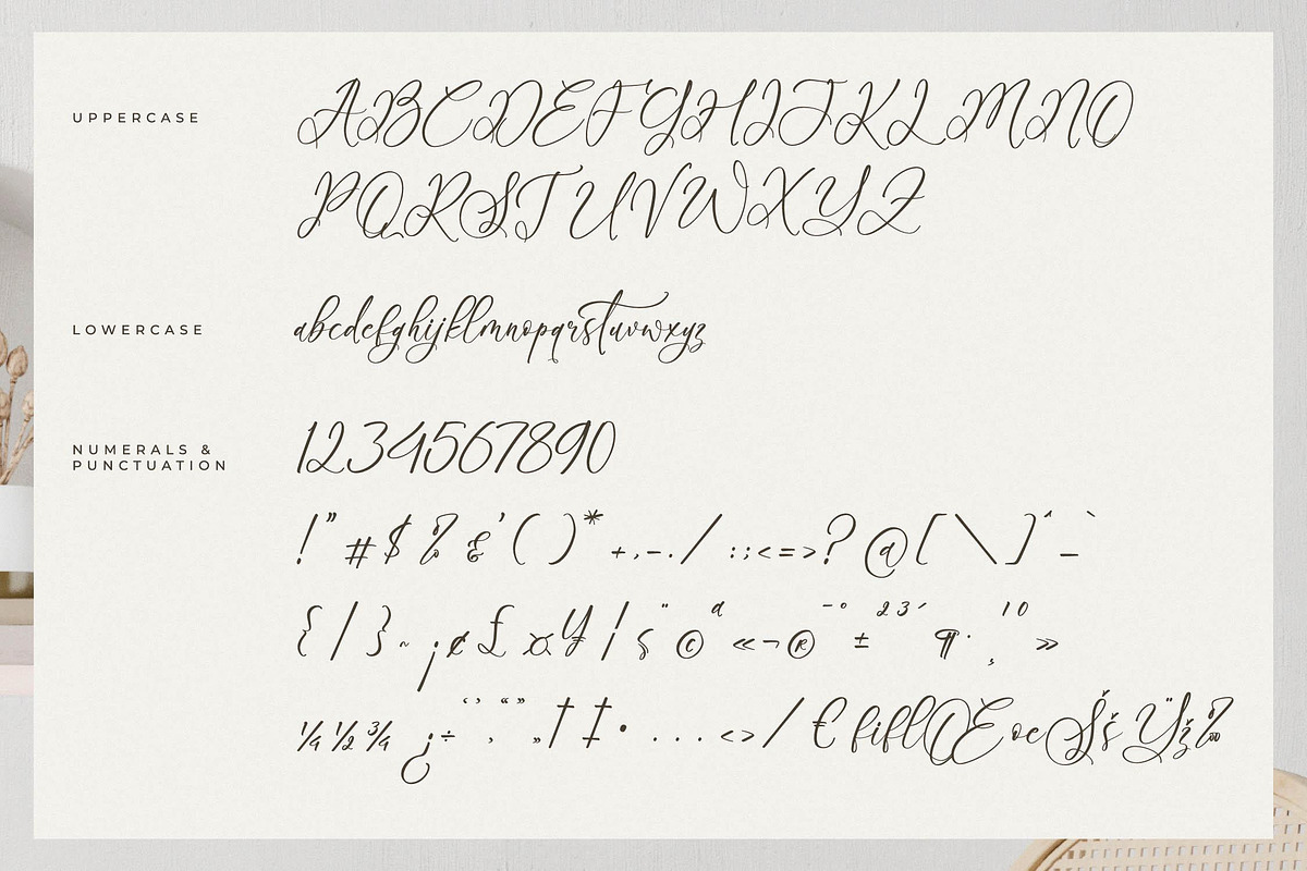 Boutiquen Serahpine Calligraphy Font, a Script Font by Letterena Studios Script (Photo 13 of 15)
