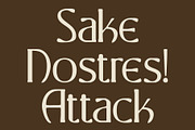 CS Marius Drawn, a Serif Font by Craft Supply Co. (Thumbnail 2 of 8)