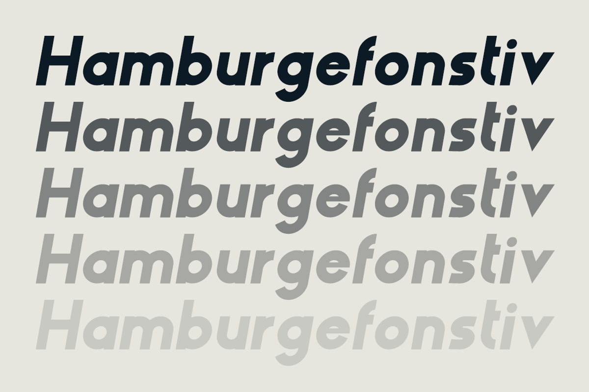 HAUS Sans Extra Bold, a Sans Serif Font by MARTINI Type Designer (Photo 3 of 5)