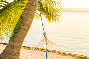 Tranquil Beach Hammock, a Holiday Photo by THP Creative