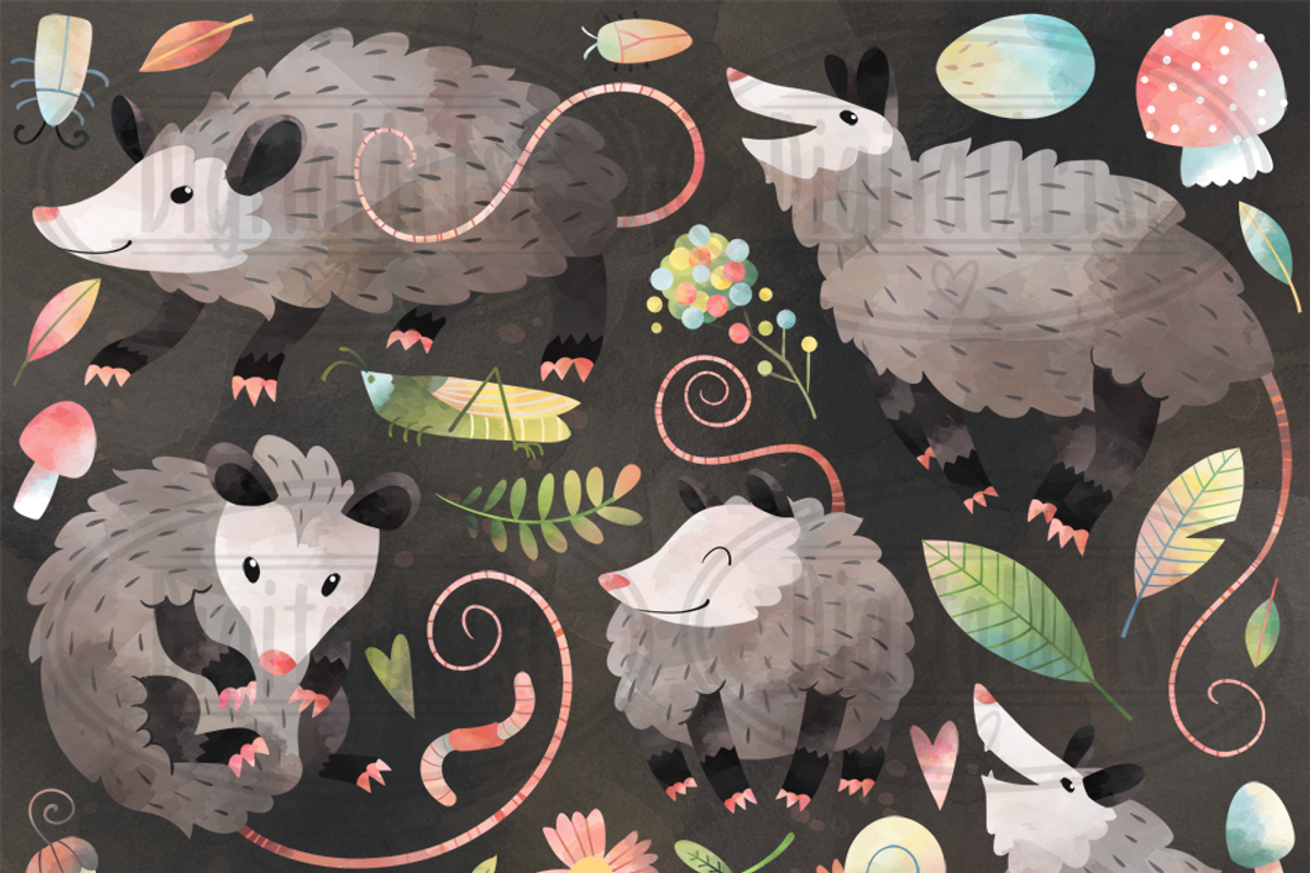 Watercolor Possums Clipart, an Animal Illustration by DigitalArtsi (Photo 2 of 3)