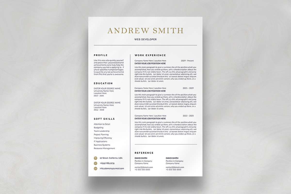Canva Resume Template preview 2