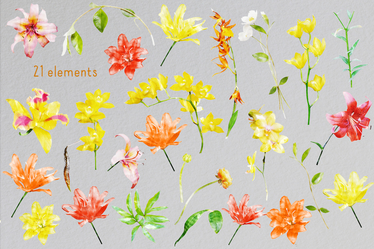 Watercolor Lilies & Orchids, an Illustration by TheSeventhDesire (Photo 2 of 7)