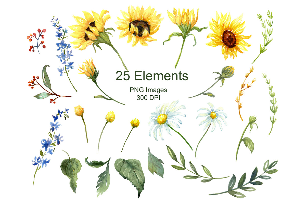 Sunflowers & Wildflowers Clip Art, an Illustration by Graphic Blue Bird (Photo 3 of 8)