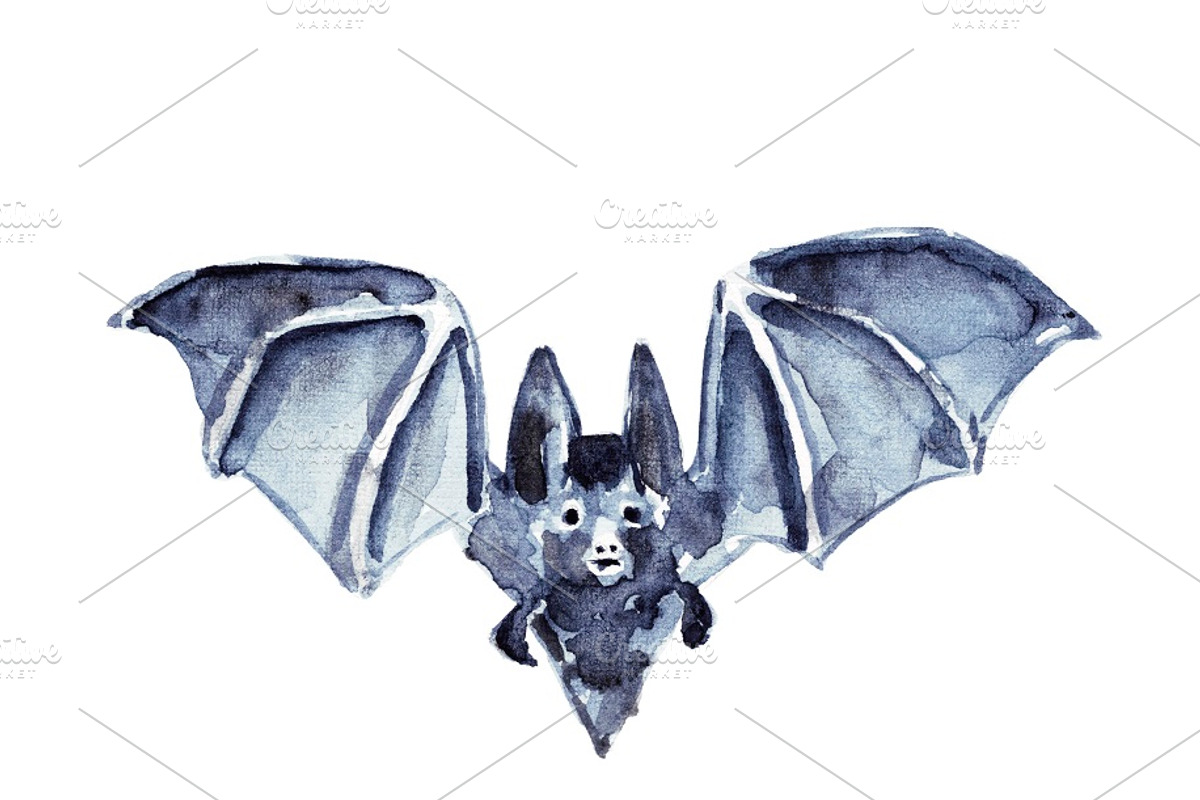 Vampire bats, watercolor/ink/vector, an Animal Illustration by Watercolor_Vector Graphic (Photo 9 of 22)