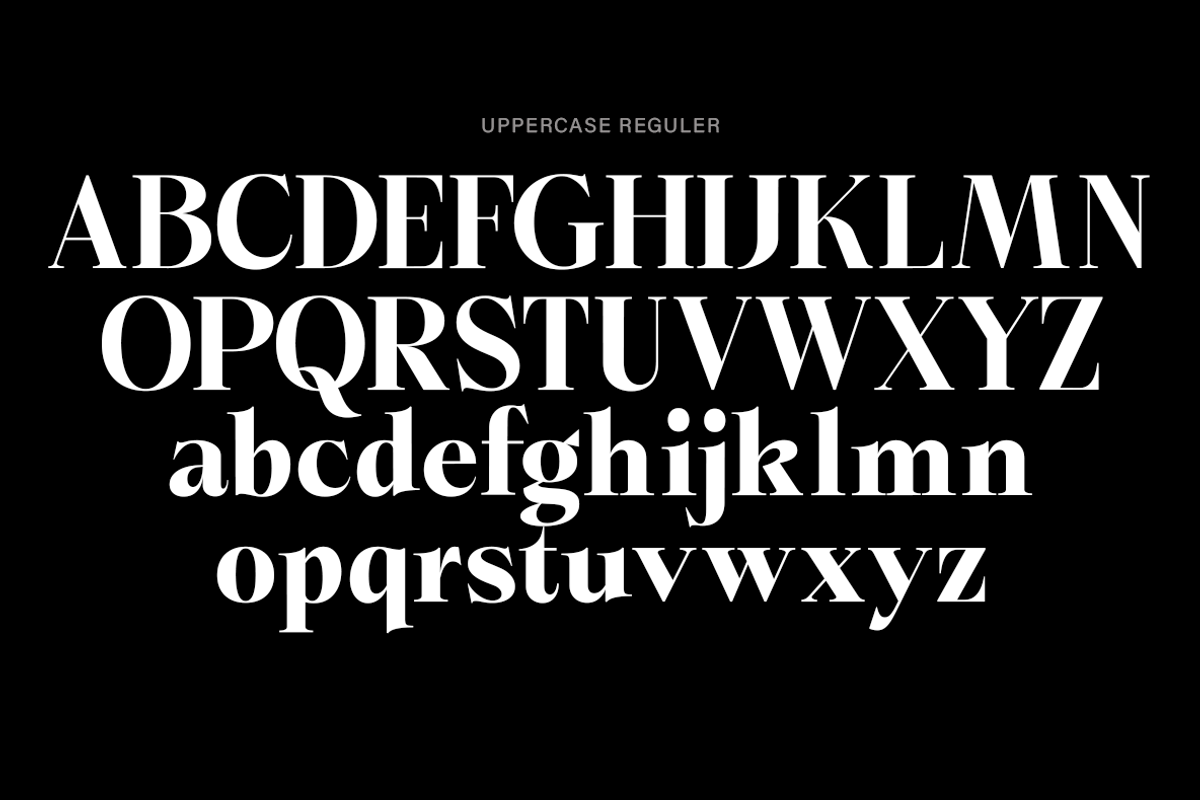 Briselle, a Serif Font by Propertype (Photo 13 of 15)