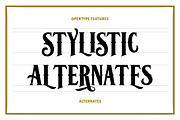 Carlingford, a Serif Font by Twicolabs Fontdation (Thumbnail 5 of 5)