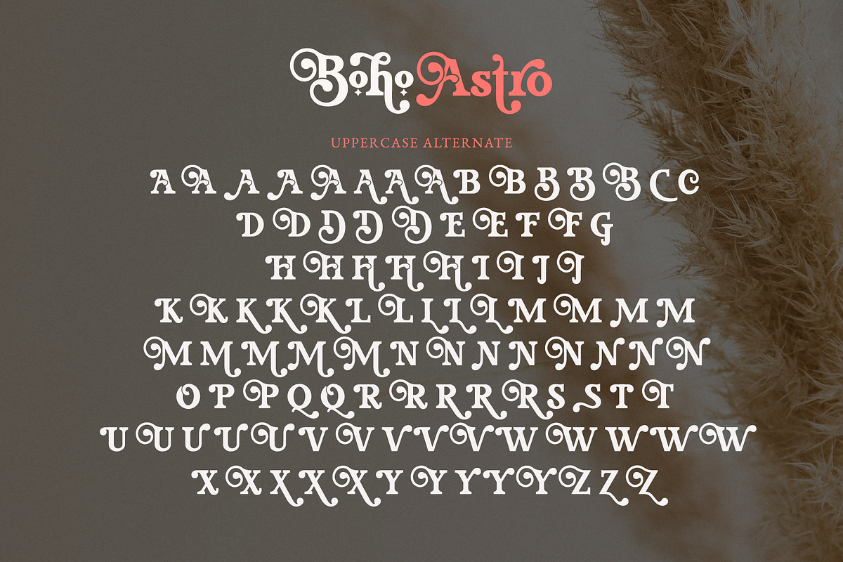Boho Astro - Vintage Slab Serif, a Slab Serif Font by Airotype (Photo 11 of 13)