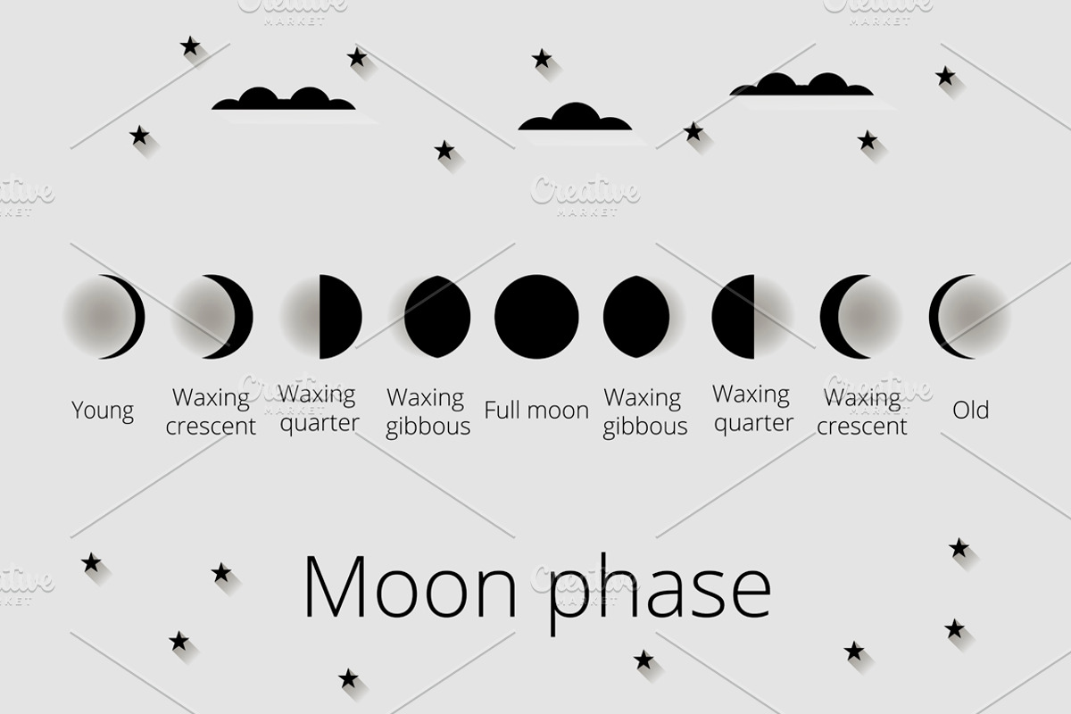Moon phases. Set illustrations, an Illustration by Andy Vinnikov (Photo 5 of 8)